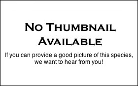 No thumbnail available