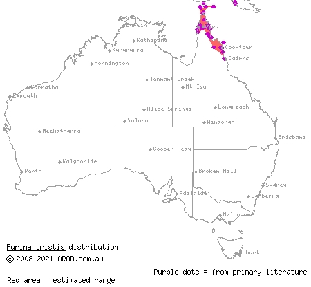 brown-headed snake (Furina tristis) distribution range map