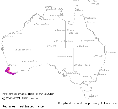 south-western mulch-skink (Hemiergis gracilipes) distribution range map