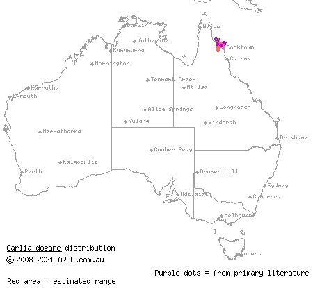 sandy rainbow-skink (Carlia dogare) distribution range map