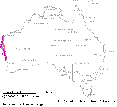 West Coast banded snake (Simoselaps littoralis) distribution range map