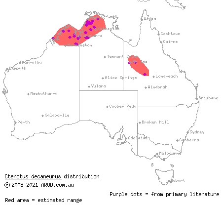 ten-lined ctenotus (Ctenotus decaneurus) distribution range map