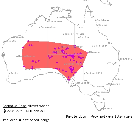 orange-tailed finesnout ctenotus (Ctenotus leae) distribution range map