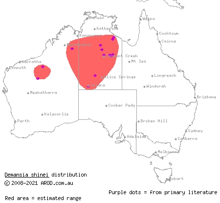 Shine's whipsnake (Demansia shinei) distribution range map