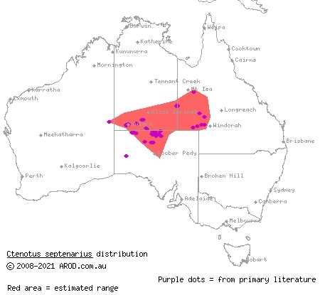 massive-gibber ctenotus (Ctenotus septenarius) distribution range map