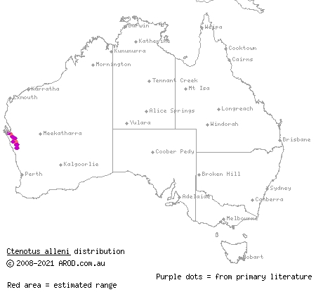 Ajana ctenotus (Ctenotus alleni) distribution range map