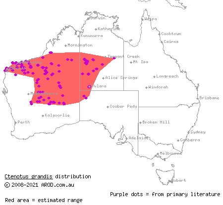grand ctenotus (Ctenotus grandis) distribution range map