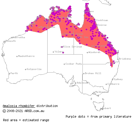 zigzag velvet gecko (Amalosia rhombifer) distribution range map