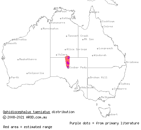 bronzeback (Ophidiocephalus taeniatus) distribution range map
