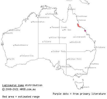 sun-loving litter-skink (Lygisaurus zuma) distribution range map