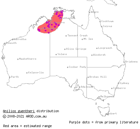 top end blind snake (Ramphotyphlops guentheri) distribution range map