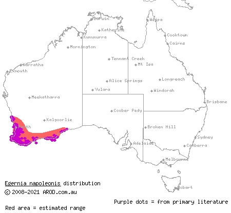 south-western crevice-skink (Egernia napoleonis) distribution range map
