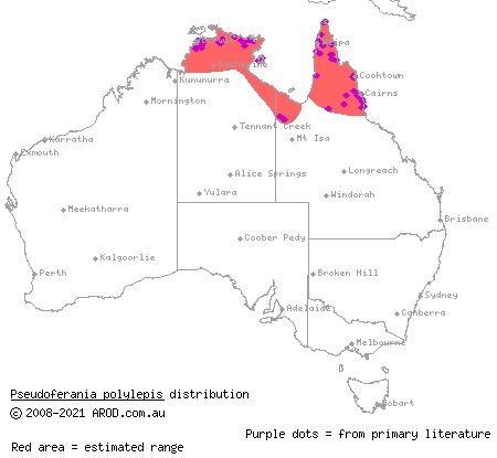 Macleay's water snake (Enhydris polylepis) distribution range map