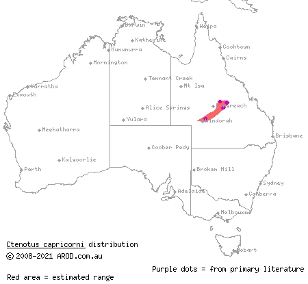 Capricorn ctenotus (Ctenotus capricorni) distribution range map