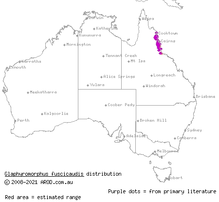 brown-tailed bar-lipped skink (Glaphyromorphus fuscicaudis) distribution range map