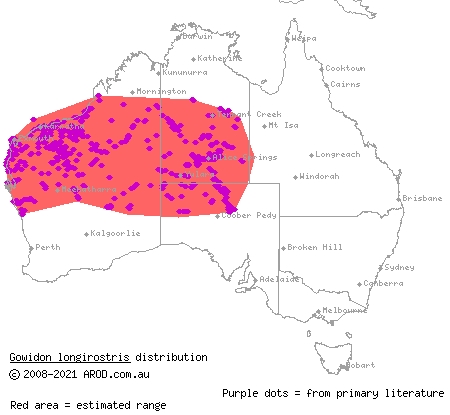 long-nosed dragon (Amphibolurus longirostris) distribution range map