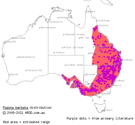 eastern bearded dragon (Pogona barbata) distribution range map