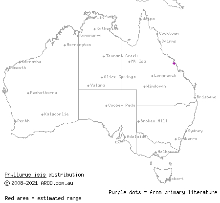 Mount Jukes broad-tailed gecko (Phyllurus isis) distribution range map