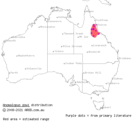speckled worm-skink (Anomalopus gowi) distribution range map