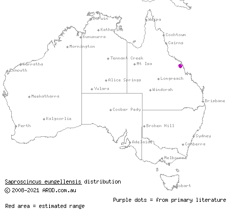 Eungella shadeskink (Saproscincus eungellensis) distribution range map