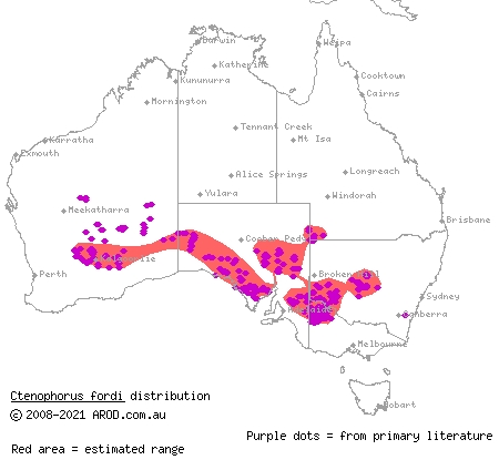 mallee military dragon (Ctenophorus fordi) distribution range map