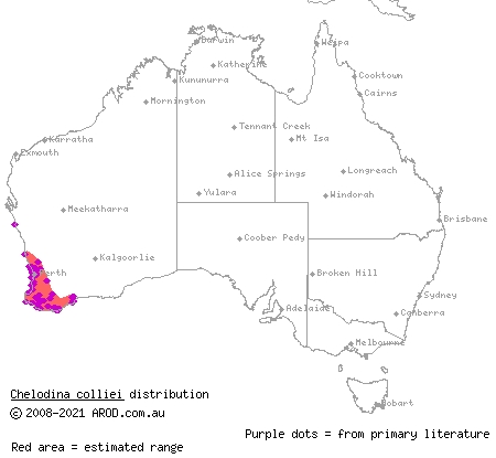 south-western long-necked turtle (Chelodina colliei) distribution range map