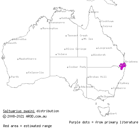 southern leaf-tailed gecko (Saltuarius swaini) distribution range map