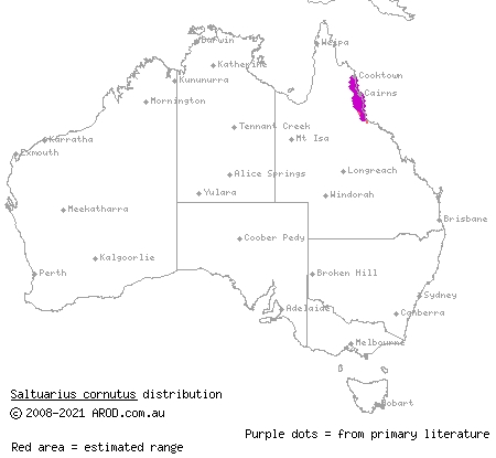 northern leaf-tailed gecko (Saltuarius cornutus) distribution range map
