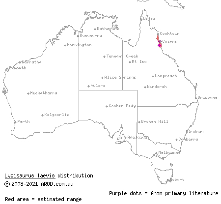 rainforest edge litter-skink (Lygisaurus laevis) distribution range map