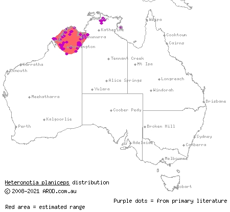 north-west prickly gecko (Heteronotia planiceps) distribution range map