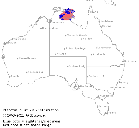 spear-like ctenotus (Ctenotus quirinus) distribution range map