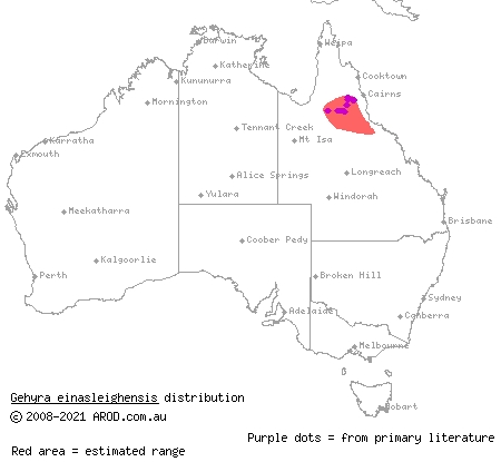 Einasleigh rock dtella (Gehyra einasleighensis) distribution range map