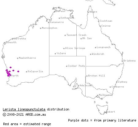 southern dotted-line robust slider (Lerista lineopunctulata) distribution range map