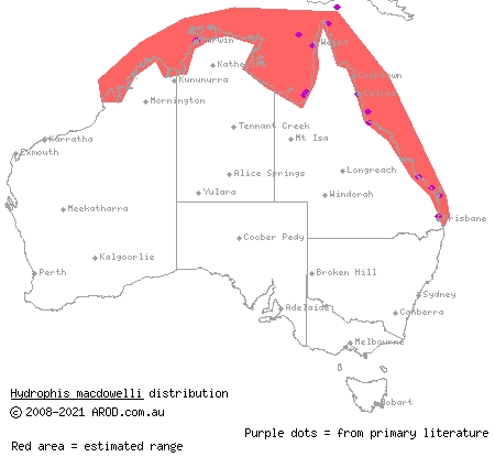 small-headed sea snake (Hydrophis macdowelli) distribution range map
