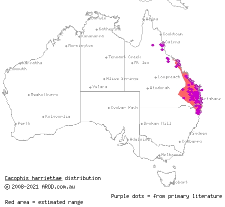 white-crowned snake (Cacophis harriettae) distribution range map
