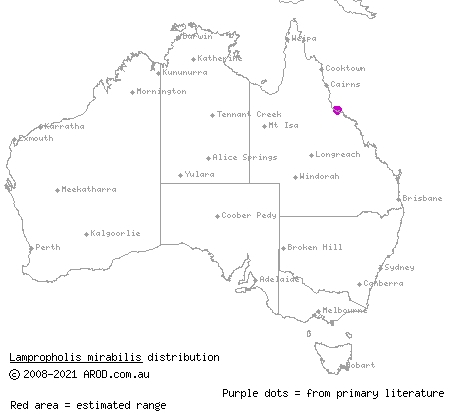 saxicoline sunskink (Lampropholis mirabilis) distribution range map