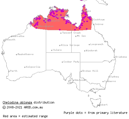 northern long-necked turtle (Chelodina oblonga) distribution range map