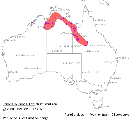sombre whipsnake (Demansia quaesitor) distribution range map
