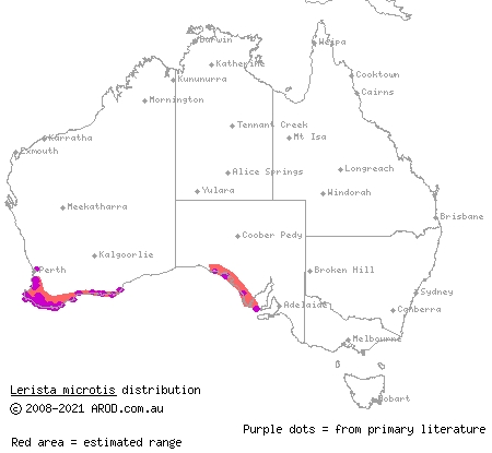 south-western slider (Lerista microtis) distribution range map