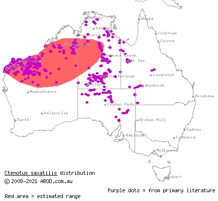 rock ctenotus (Ctenotus saxatilis) distribution range map