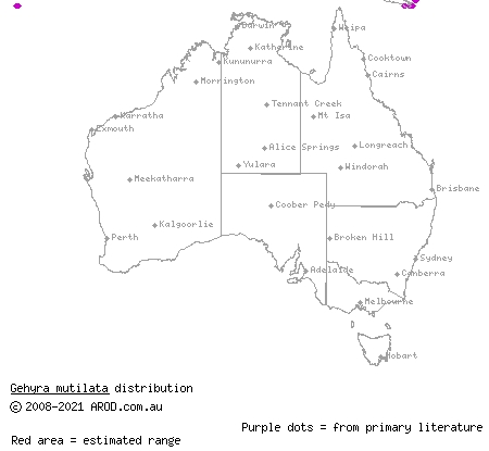 skin-shedding dtella (Gehyra mutilata) distribution range map