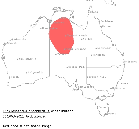 northern narrow–banded skink (Eremiascincus intermedius) distribution range map