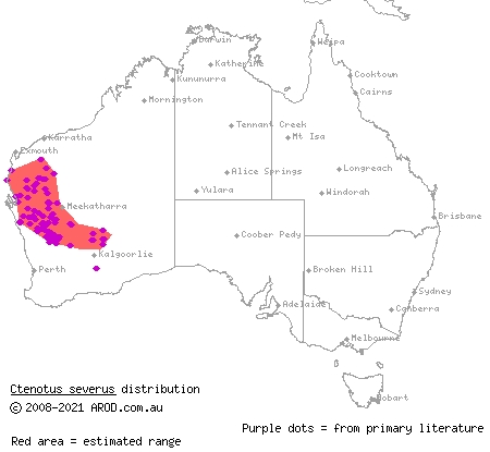 stern ctenotus (Ctenotus severus) distribution range map