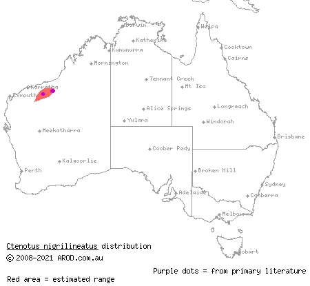 pin-striped finesnout ctenotus (Ctenotus nigrilineatus) distribution range map