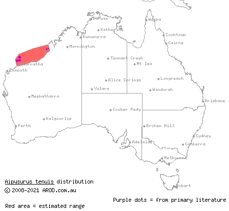 Mjoberg's sea snake (Aipysurus tenuis) distribution range map