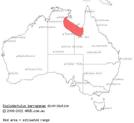 Gulf fat-tailed gecko (Diplodactylus barraganae) distribution range map