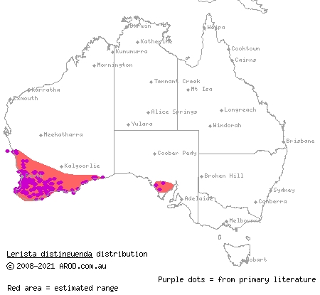 south-western orange-tailed slider (Lerista distinguenda) distribution range map