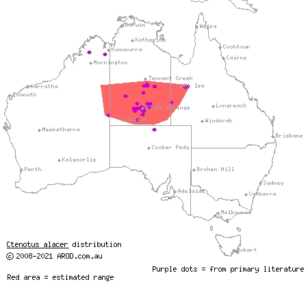 lively ctenotus (Ctenotus alacer) distribution range map