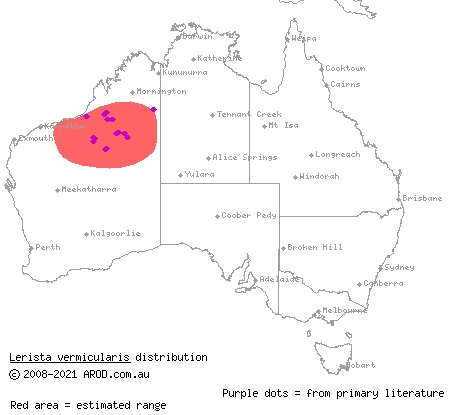 slender duneslider (Lerista vermicularis) distribution range map