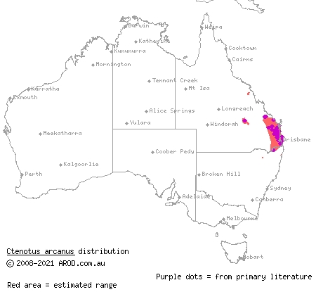 arcane ctenotus (Ctenotus arcanus) distribution range map